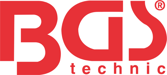 BGS Logo